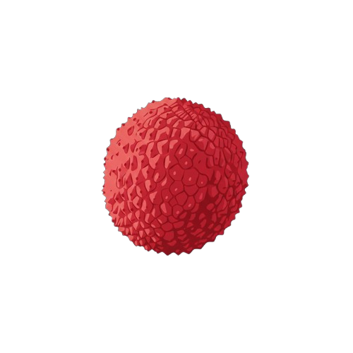 litchi design studio